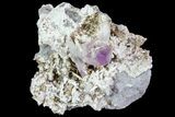 Amethyst Crystal Cluster - Las Vigas, Mexico #80557-2